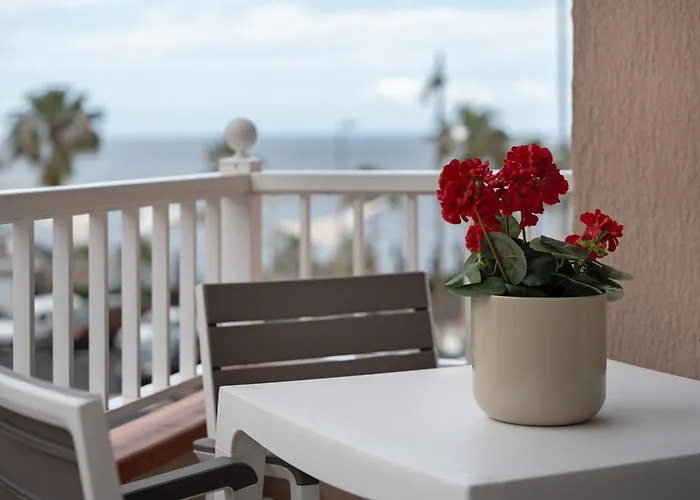 Bonjour カンデラリア